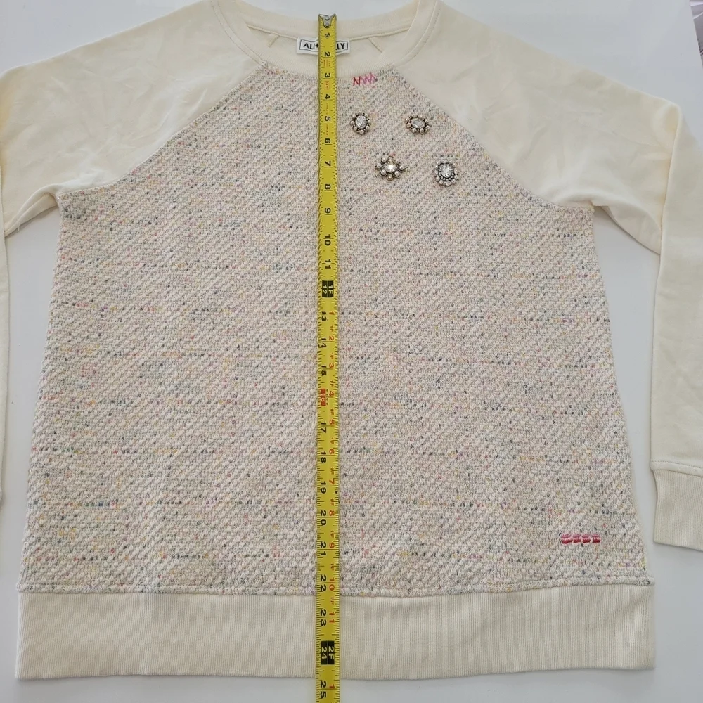 Ali + Mally x Peace Love World Embellished Sweatshirt